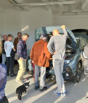 Esempio dalla galleria fotografica di AUTOTECNICA NORDEST SRLS