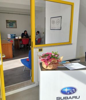 Esempio dalla galleria fotografica di AUTOTECNICA NORDEST SRLS