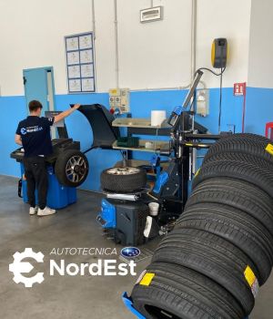 Esempio dalla galleria fotografica di AUTOTECNICA NORDEST SRLS